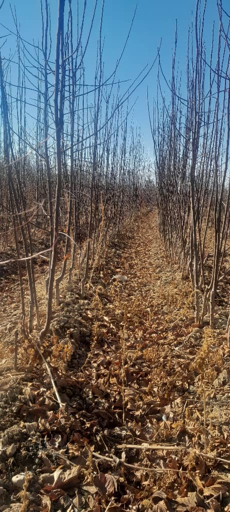 خدمات و امکانات متنوع